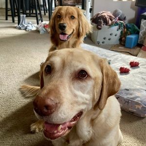 Meet your Posher, Athanasios